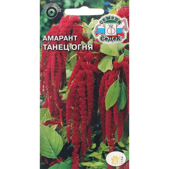 Семена Цветов Амарант  Семена Цветов Амарант "Танец огня "0.1 г