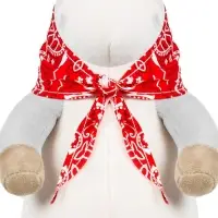 Мягкая игрушка «Коняш Краш в платке», 25 см Мягкая игрушка «Коняш Краш в платке», 25 см