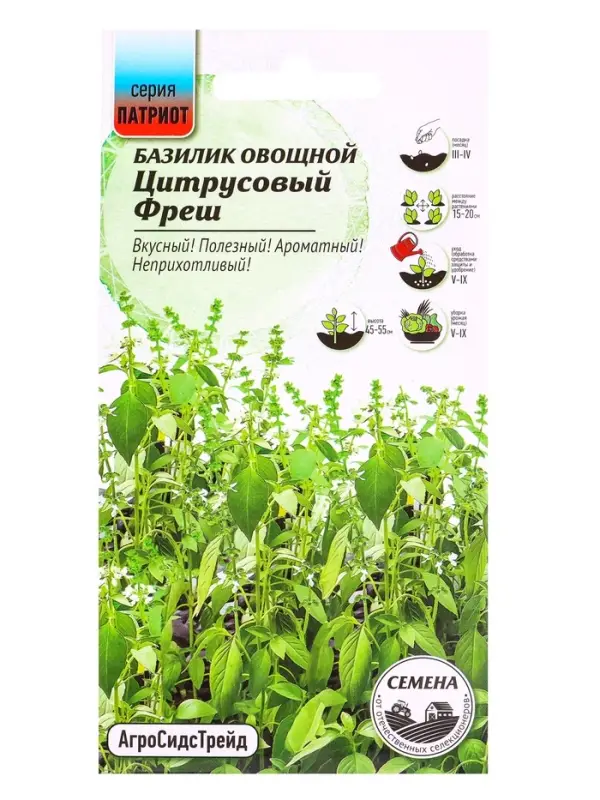 Семена Базилик &laquo;Цитрусовый фреш&raquo;, 0.25 г, &laquo;АгроСидсТрейд&raquo;