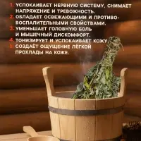 Веник для бани, мята, 45 (&plusmn; 5 см), &laquo;Добропаровъ&raquo;