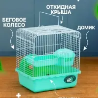Клетка для грызунов &laquo;Пижон&raquo;, 23&times;17&times;26 см, эмаль, зелёная
