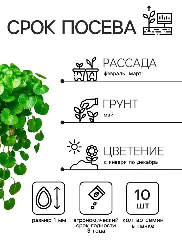 Семена цветов Дихондра "Изумрудный водопад", серия "Профи", F1, О, 10 шт. Семена цветов Дихондра "Изумрудный водопад", серия "Профи", F1, О, 10 шт.
