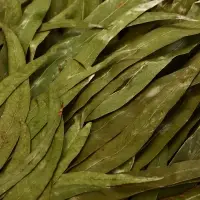 Веник для бани, эвкалиптовый, 53 (&plusmn;2) см, &laquo;Добропаровъ&raquo;