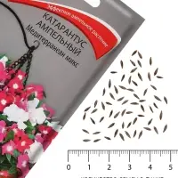 Семена цветов Катарантус ампельный &laquo;Медитерранеан Микс&raquo; 10 шт.