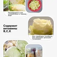 Семена Капуста &laquo;Вертю 1340&raquo;, 0.3 г, &laquo;Агросс&raquo;