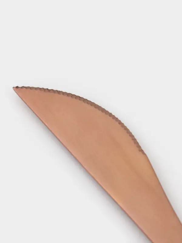 Набор столовых приборов из нержавеющей стали Magistro &laquo;Оску базис&raquo;, 4 предмета, цвет бронзовый