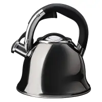 VETTA Чайник стальной 2,6л "Мари", индукция