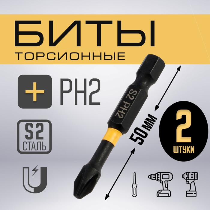 Биты ТУНДРА ПРОФИ, Torsion, сталь S2, PH2 х 50 мм, пвх-чехол, 2 шт. Биты ТУНДРА ПРОФИ, Torsion, сталь S2, PH2 х 50 мм, пвх-чехол, 2 шт.