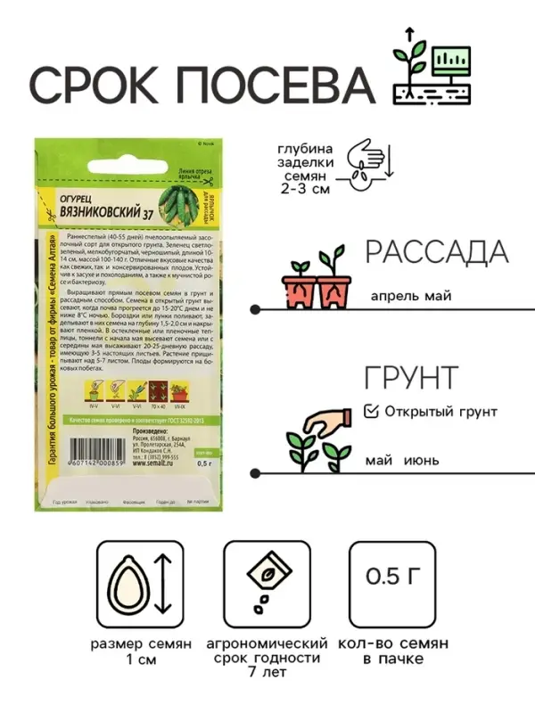 Семена Огурец Семена Огурец "Вязниковский 37", Сем. Алт, ц/п, 0,5 г