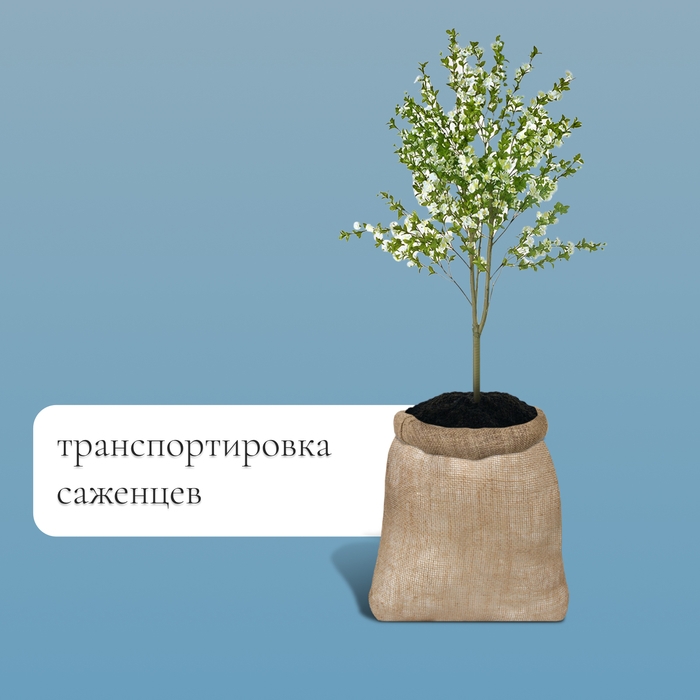 Мешок джутовый, 40 × 60 см, плотность 26 × 26 нитей, без завязок, Greengo Мешок джутовый, 40 × 60 см, плотность 26 × 26 нитей, без завязок, Greengo