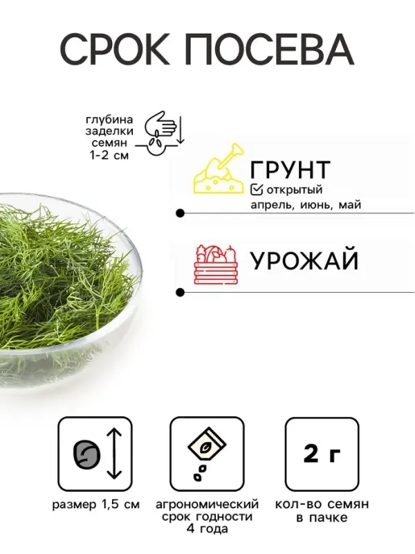 Семена Укроп &laquo;Голубая ель&raquo;, 2 г