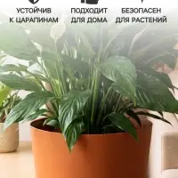 Горшок для цветов &laquo;Гранд&raquo;, 15 л, d=29.5 см, h=31 см, пластиковый, с прикорневым поливом, коричневый