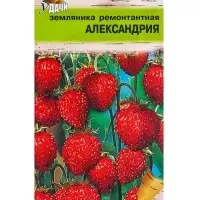 Семена Земляника &laquo;Александрия&raquo;, 0.04 г, ремонтантная, &laquo;Урожай удачи&raquo;