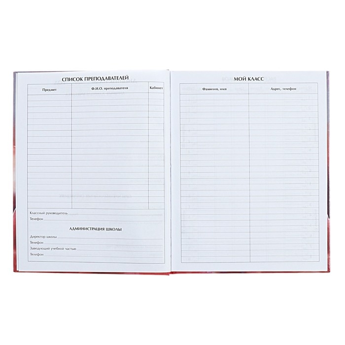 Дневник для 5-11 классов Дневник для 5-11 классов "Котята в облаках", твёрдая обложка, голография, 48 листов