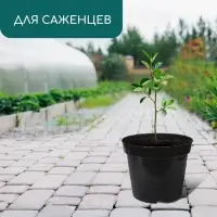 Горшок для рассады, 7.5 л, d=26 см, h=20 см, чёрный, Greengo