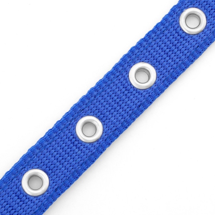 Ошейник Ошейник "Комфорт" комбинированный (полиэстер, искусств. кожа), 45 х 2 см, ОШ 30-39 см, синий