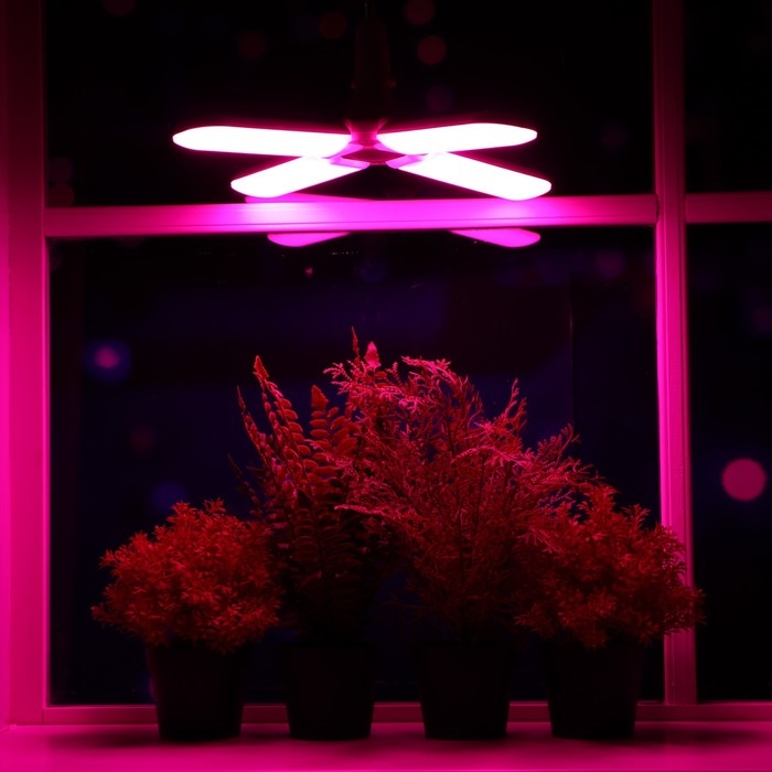 Фитолампа светодиодная, E27, 32 Вт, IP 20, 220 В, четырехлепестковая, складная, мультиспектральная 7 Фитолампа светодиодная, E27, 32 Вт, IP 20, 220 В, четырехлепестковая, складная, мультиспектральная 7