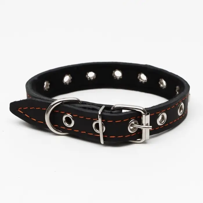 Ошейник украшенный, безразмерный, 47&times;2 см, ОШ 28-39 см, на синтепоне, кожа, чёрный