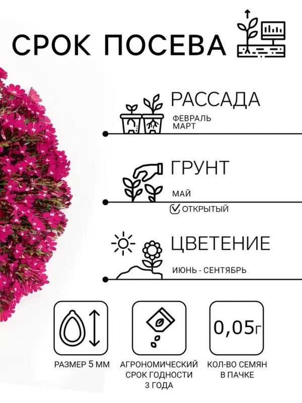 Семена цветов Лобелия &laquo;Розамунда&raquo;, 0.01 г, &laquo;Гавриш&raquo;