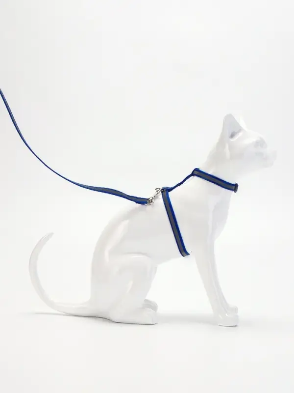 Комплект для кошек, шлейка 21-35 см, ширина 1 см, поводок 120 см, светоотражающий, синий