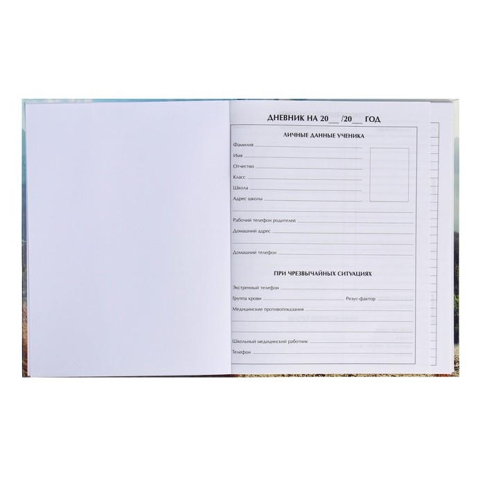 Дневник для 5-11 классов, "Медведь в очках", твердая обложка 7БЦ, глянцевая ламинация, 48 листов