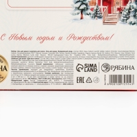 РЯБИНА Набор "С Новым годом и Рождеством", гель для душа и шампунь для волос