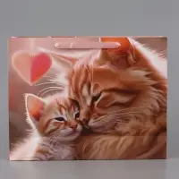 Пакет подарочный ламинированный горизонтальный &laquo;Котики&raquo;, 40&times;31&times;11.5 см