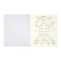 Комплект 12 предметных тетрадей 48 листов, справочная информация, 60гр, Мрамор пастель