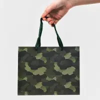 Набор подарочных пакетов &laquo;Праздник&raquo;, 5 шт, 18 &times; 23 &times; 10 см