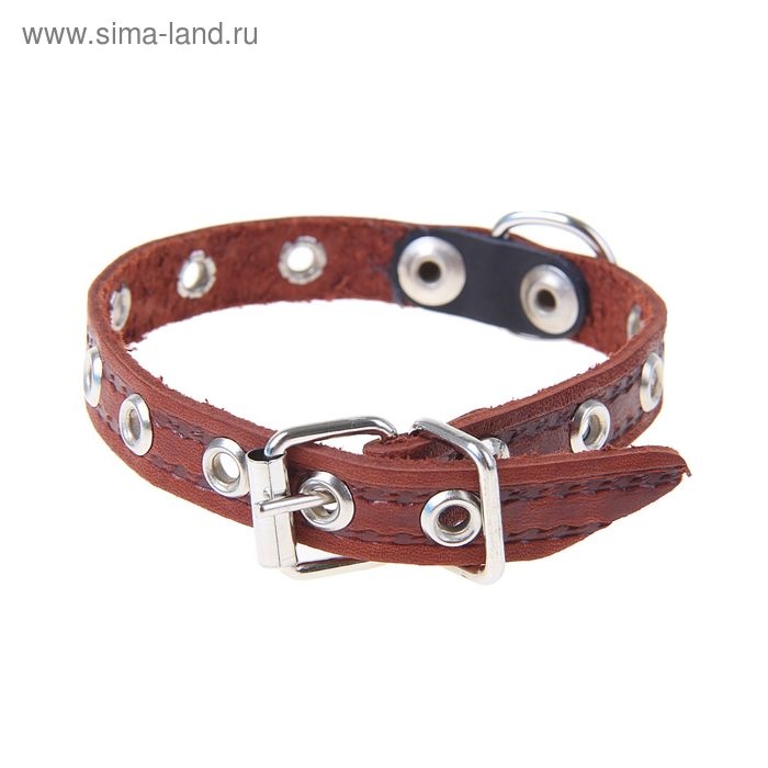 Ошейник кожаный тисненый однослойный, 29 х 1,2 см, безразмерный, микс цветов Ошейник кожаный тисненый однослойный, 29 х 1,2 см, безразмерный, микс цветов