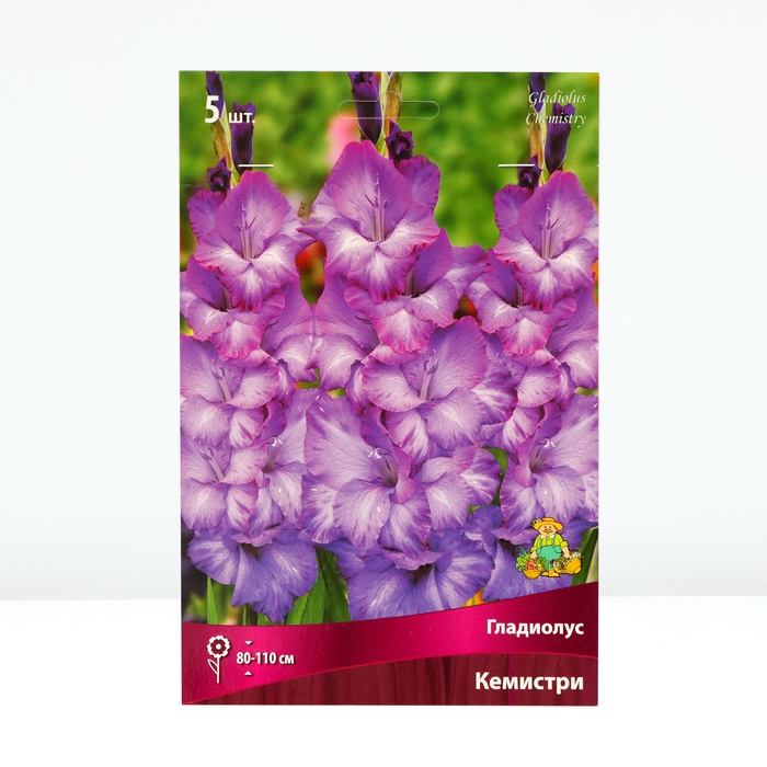 Гладиолус крупноцветковый «Кемистри», луковица цветов в пакете с перфорацией, р-р 12/14, 5 шт.
