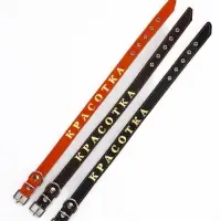 Ошейник &laquo;Красотка&raquo;, 60&times;2.5 см, однослойный, тиснение фольгой, кожа, цвет МИКС