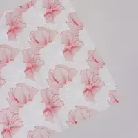 Пленка флористическая для цветов, &laquo;Акварельный эскиз&raquo;, розовая, 57&times;57 см