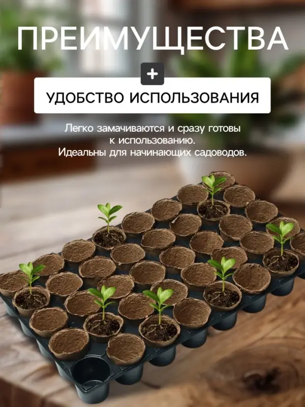 Набор для рассады: торфяной горшок 6&times;6 см, кассета на 40 ячеек, Greengo