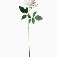 Цветы искусственные &laquo;Роза венесуэльская&raquo;, 8&times;56 см, белые