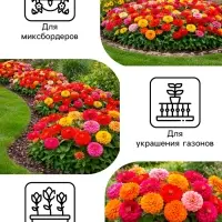 Семена цветов Цинния &laquo;Фейерверк&raquo;, смесь, 0.2 г, &laquo;Рецепты дедушки Никиты&raquo;