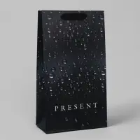 Пакет подарочный под две бутылки, упаковка, Black, 35&times;20&times;9 см