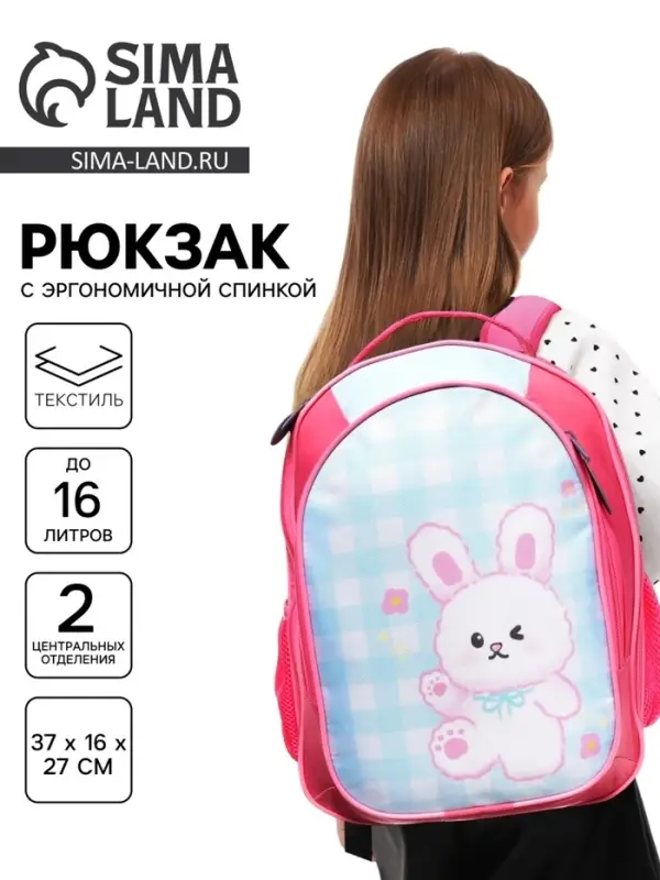 Рюкзак школьный, эргономичная спинка, 37&times;27&times;16 см &laquo;Зайка&raquo;
