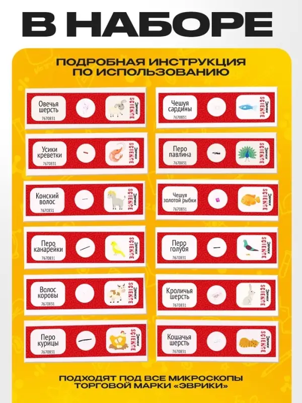Набор для опытов &laquo;Набор микропрепаратов&raquo;, животные