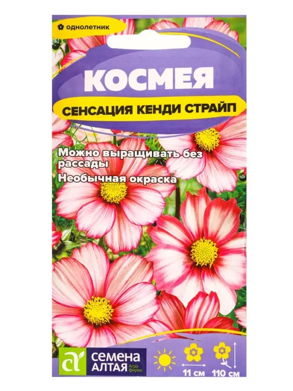 Семена цветов Космея &laquo;Сенсация Кенди Страйп&raquo;, 0.3 г, &laquo;Семена Алтая&raquo;