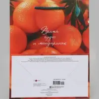 Пакет подарочный &laquo;Время чудес и мандаринок&raquo;, 18&times;10&times;22.3 см