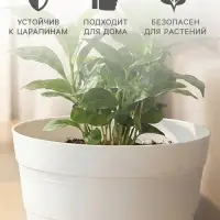 Горшок цветочный с поддоном &laquo;ПластоС. Классик&raquo;, 600 мл, пластиковый, белый