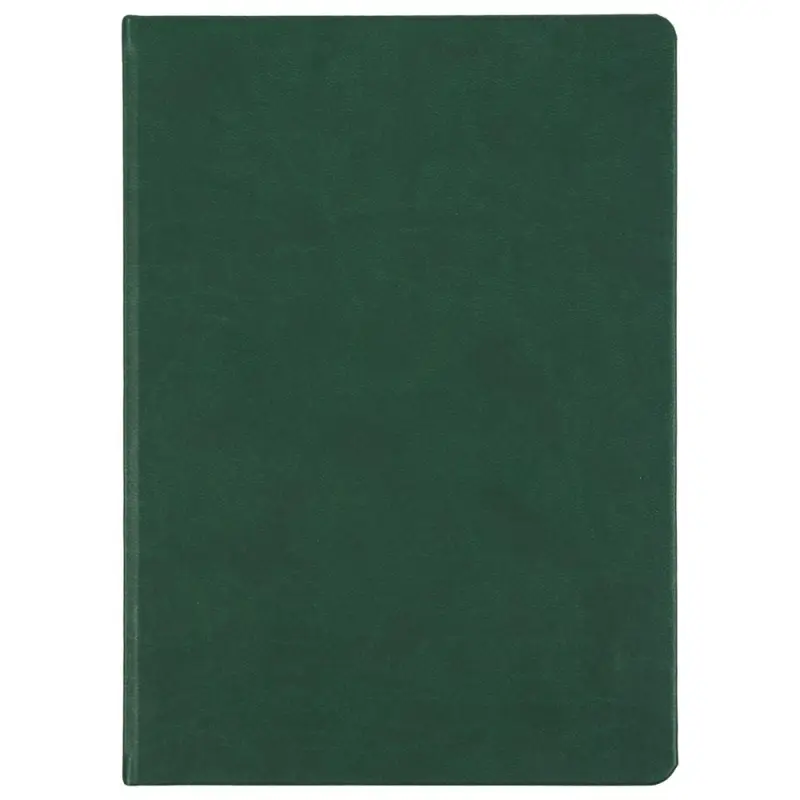 Ежедневник Basis, датированный, зеленый Ежедневник Basis, датированный, зеленый