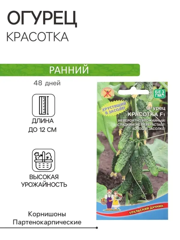 Семена Огурец  Семена Огурец "Красотка", F1, 10 шт