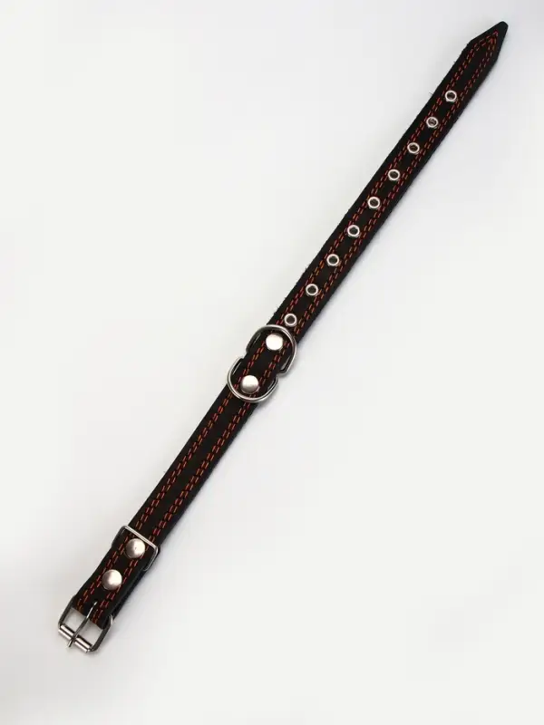 Ошейник кожаный усиленный капроном с полукольцом, 55&times;2.5 см, ОШ 27-53 см, чёрный