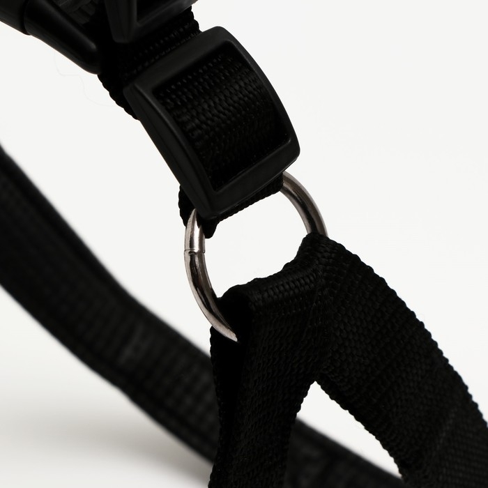 Шлейка Шлейка "Комфорт" комбинированная, 2,5 см, ОШ 55-60 см, ОГ 60-65 см, чёрная