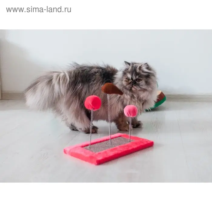 Игрушка для кошек с 3 дразнилками и когтеточкой, 27 х 15,5 х 25 см  микс цветов Игрушка для кошек с 3 дразнилками и когтеточкой, 27 х 15,5 х 25 см  микс цветов