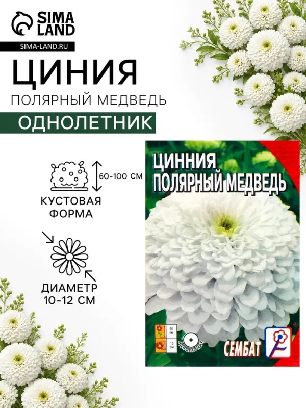 Семена цветов Цинния &laquo;Полярный медведь&raquo;, 0.3 г