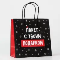 Пакет подарочный новогодний &laquo;Твой подарок&raquo;, 22&times;22&times;11 см