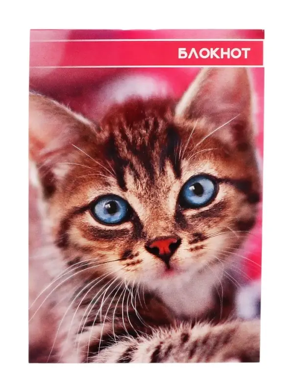Блокнот А6, 40 листов в клетку на скрепке &laquo;Котята и щенята&raquo;, обложка мелованный картон, МИКС